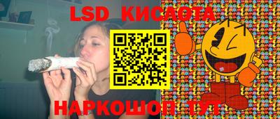 спиды Кунгур