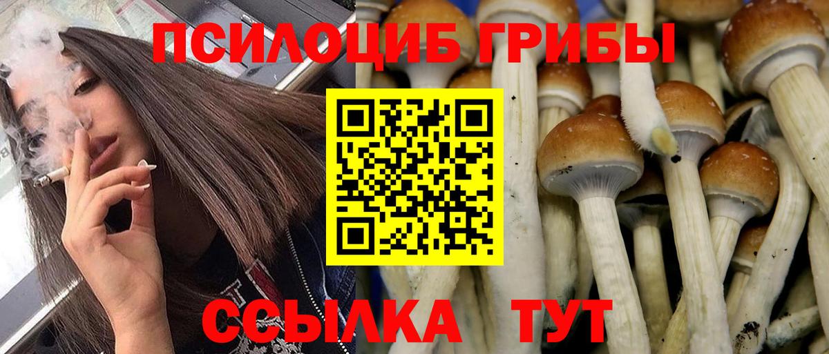 Канабис  ГАШИШ  A-PVP СОЛЬ кристаллы  МЕФ  МЕТАМФЕТАМИН  Качканар  Вход с VPN  МЕТАДОН  Марихуана  Кодеин  Меф   КОКАИН 