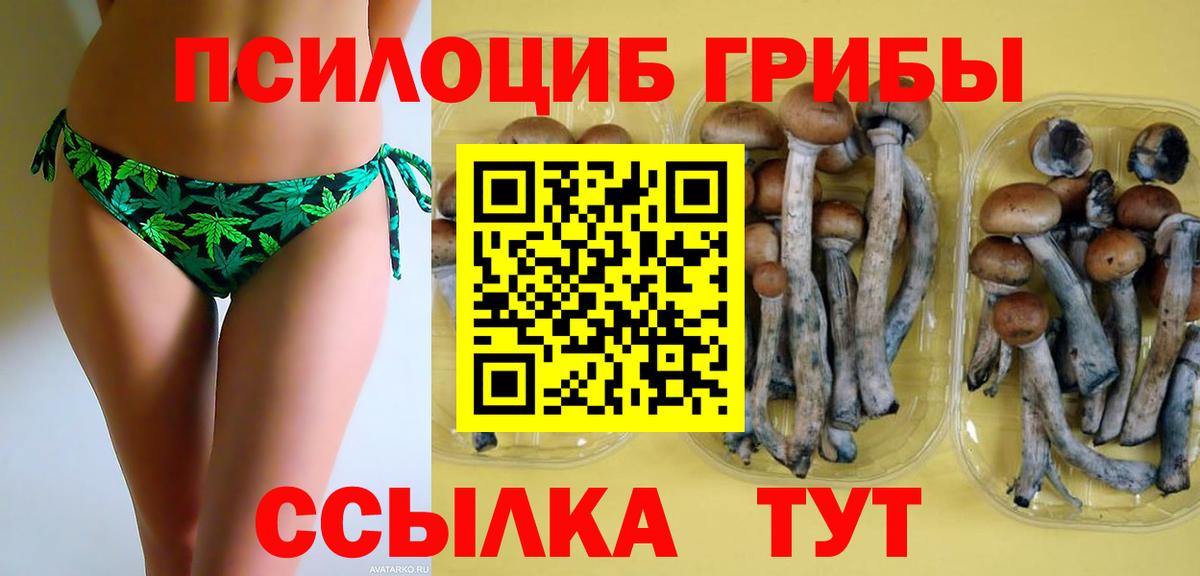 Псилоцибиновые грибы прущие грибы Качканар